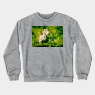 Nostalgic Rex Crewneck Sweatshirt